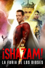 ¡Shazam! La Furia de los Dioses - David F. Sandberg