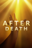 After Death - Stephen Gray & Chris Radtke