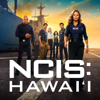 Run and Gun - NCIS: Hawai'i