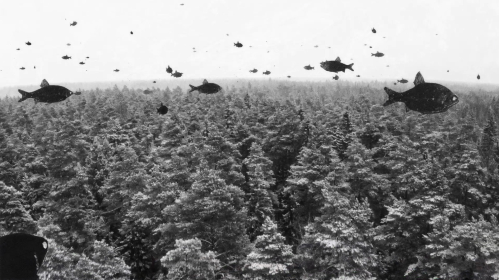 Монолог by AnimatsiYa