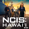 NCIS: Hawai'i - Spill the Tea  artwork