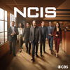 NCIS - NCIS, Season 21  artwork