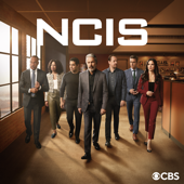 NCIS, Season 21 - NCIS Cover Art