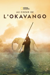 Au cœur de l'Okavango