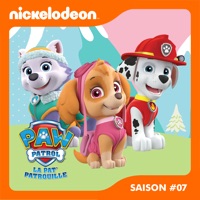 Télécharger Paw Patrol, la Pat’ Patrouille, Saison 7, Partie 1 Episode 713