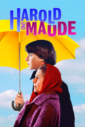 Harold und Maude - Hal Ashby Cover Art