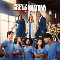 Télécharger Grey's Anatomy, Saison 19 Episode 19