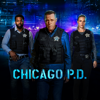 Inventory - Chicago PD