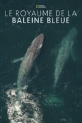 Le royaume de la baleine bleue