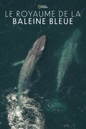 Le royaume de la baleine bleue