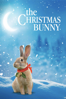 The Christmas Bunny - Tom Seidman