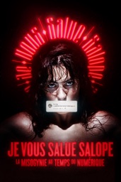 Je Vous Salue S****e : La Misogynie Au Temps Du Numérique