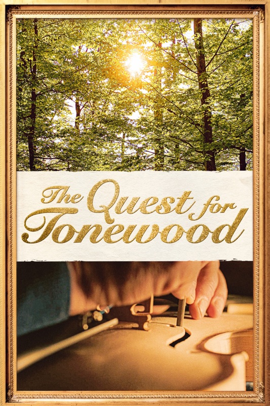 The Quest for Tonewood
