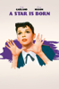 A Star Is Born (1954) - George Cukor
