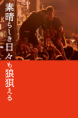 素晴らしき日々も狼狽える