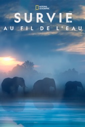 Survie au fil de l’eau