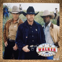 Walker Texas Ranger, Season 9