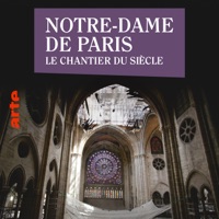 Télécharger Notre-Dame de Paris - Le chantier du siècle Episode 3