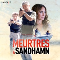 Télécharger Meurtres à Sandhamn, Saison 17 (VF) Episode 1