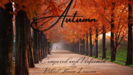 Autumn - Robert Steven Lewison