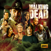 The Walking Dead - The Walking Dead, Complete Series Boxset  artwork