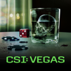 Tunnel Vision - CSI: Vegas