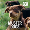 Muster Dogs, Season 1 - Muster Dogs