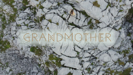 Grandmother (I Am the Earth) - Ayla Schafer