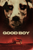 Good Boy