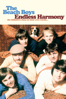 The Beach Boys - Endless Harmony - Alan Boyd