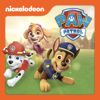 Big Truck Pups Stop a Flood - PAW Patrol