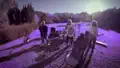 DISTOPIA