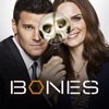 Bones