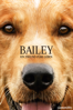 Bailey: Ein Freund fürs Leben - Lasse Hallström