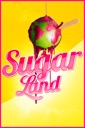 Affiche du film Sugarland