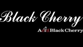 Acid Black Cherry Lyrics Playlists Videos Shazam