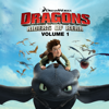 Dragons: Riders of Berk, Vol. 1 - Dragons: Riders of Berk