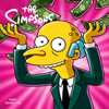 The Simpsons, Season 21 - The Simpsons