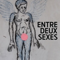 Télécharger Entre deux sexes Episode 1