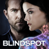 Blindspot - In Memory  artwork