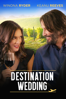 Destination Wedding - Victor Levin