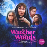 The Watcher in the Woods (2017)