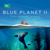 Blue Planet II - Blue Planet II  artwork