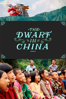 The Dwarf in China - Ben Arend Reisman