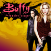 Buffy the Vampire Slayer, Season 6 - Buffy the Vampire Slayer