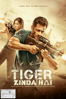 Tiger Zinda Hai - Ali Abbas Zafar