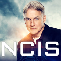 NCIS - NCIS, Season 16 artwork