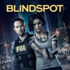 Blindspot