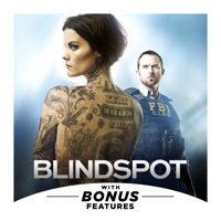 Blindspot, Season 1