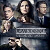 Law & Order: SVU (Special Victims Unit), Season 19 - Law & Order: SVU (Special Victims Unit)